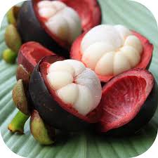 Măng Cụt 