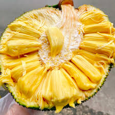 Mít Mật