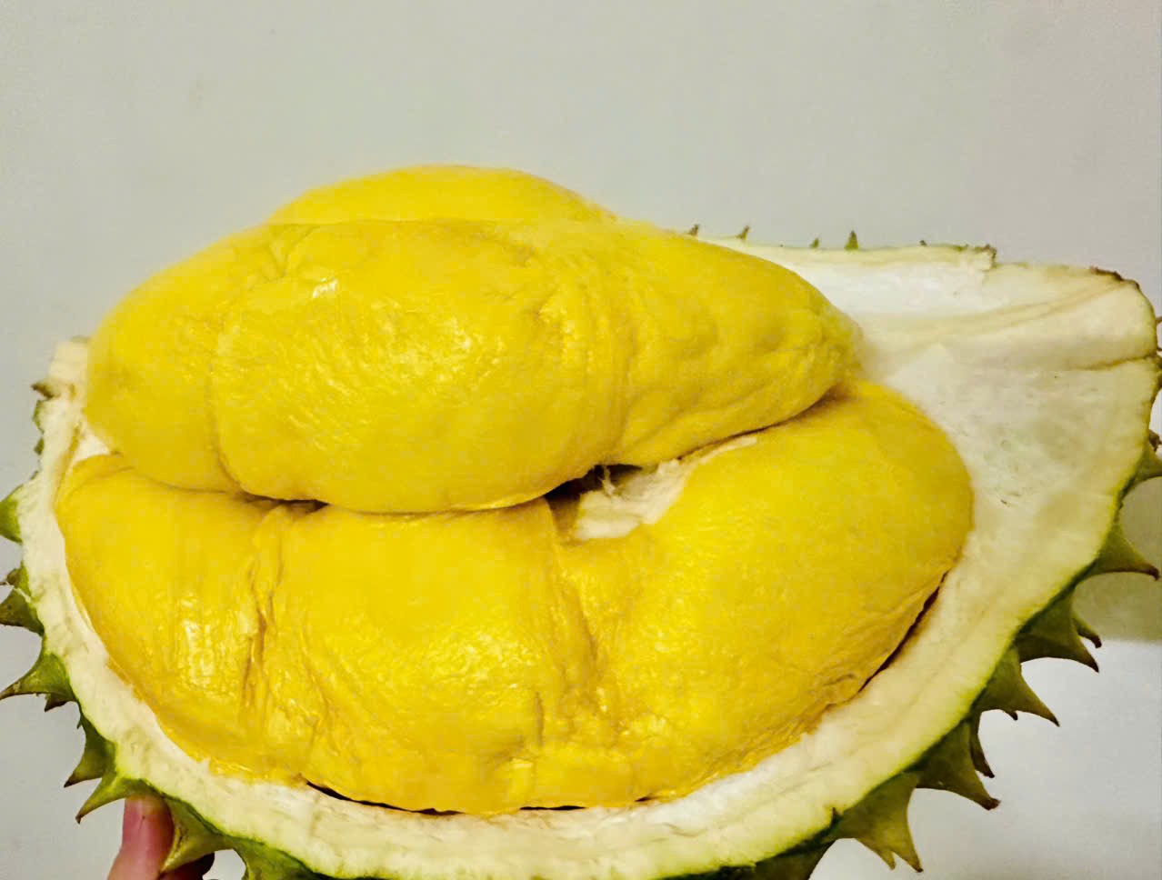 Sầu riêng Ri6