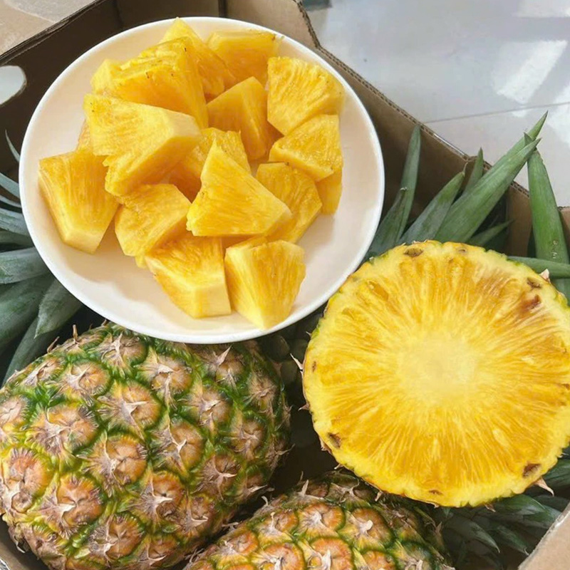 Dứa mật paula