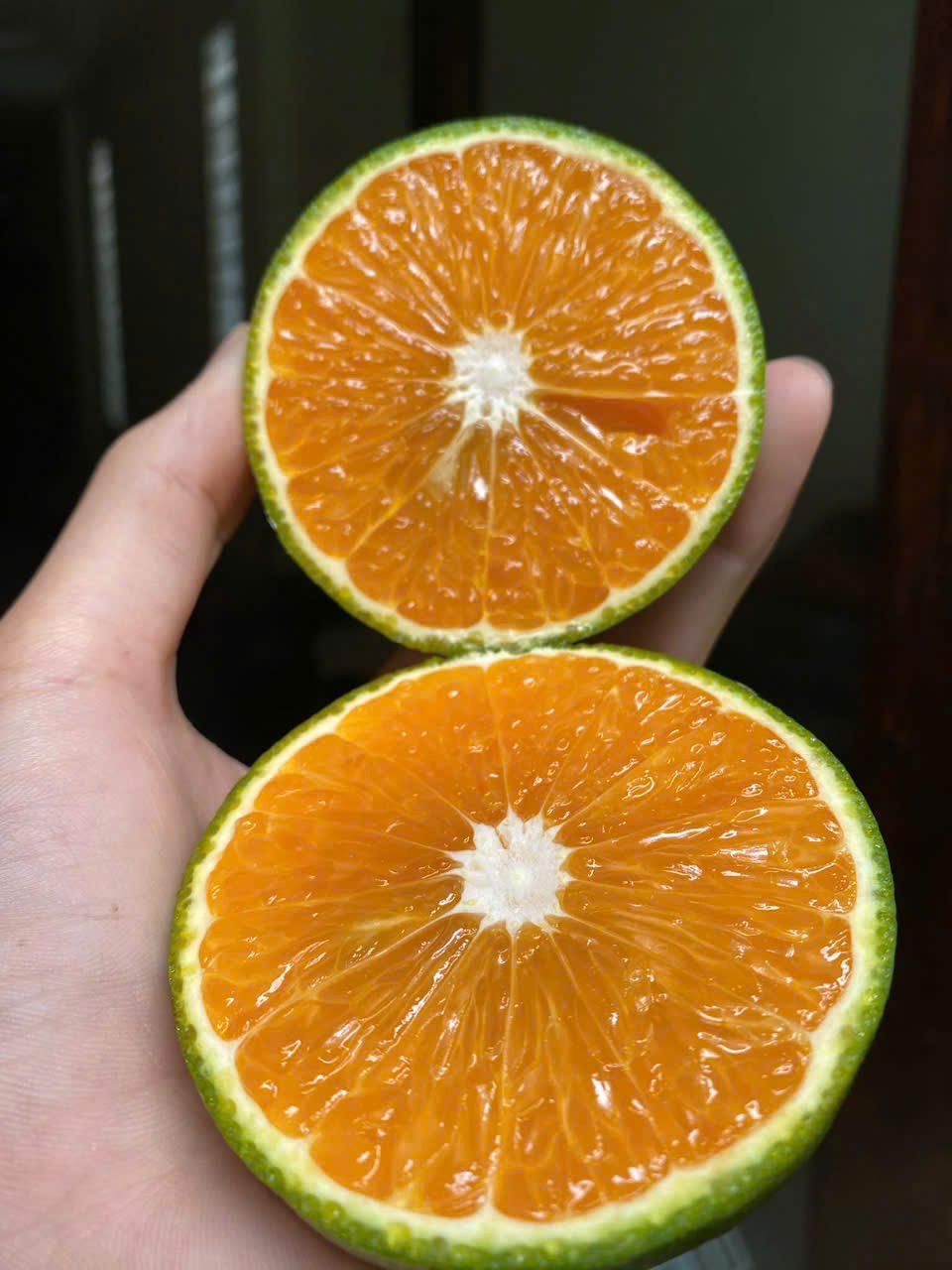 Cam sành miền tây